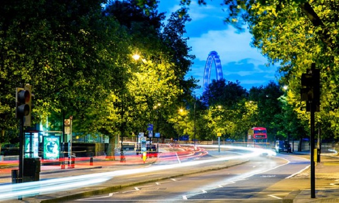 Trees may increase air pollution on city streets 